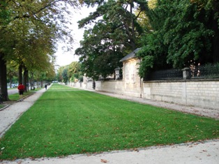 All&eacute;e Dijon